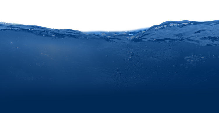 �������ǲ�����ƽ̨